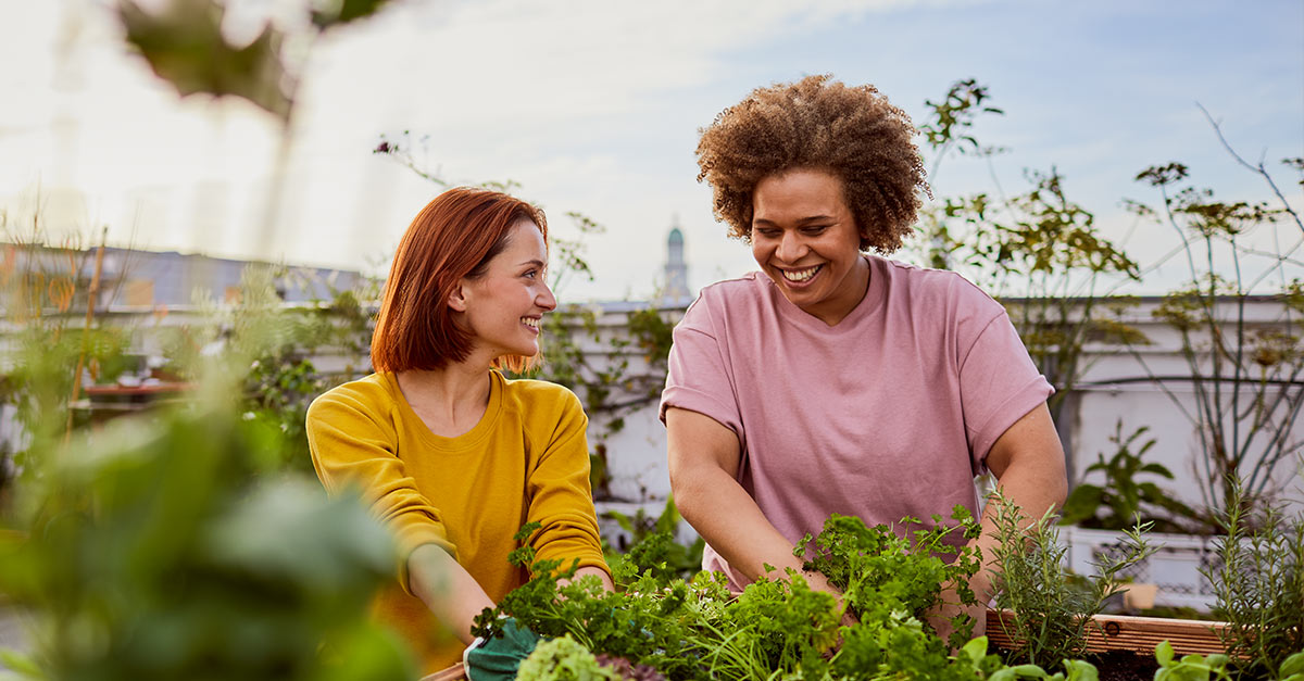 Free date ideas at night Free date ideas at night